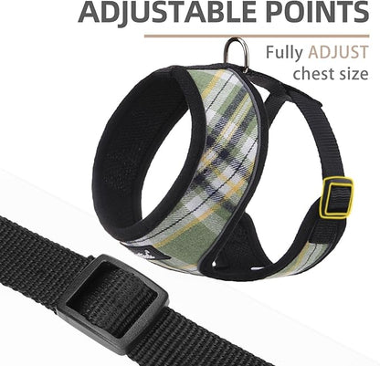 PUPTECK Soft Mesh Dog Harness and Leash Set Pet Puppy Cat Comfort Padded Vest No Pull Harnesses, Green/Yellow, M PUPTECK
