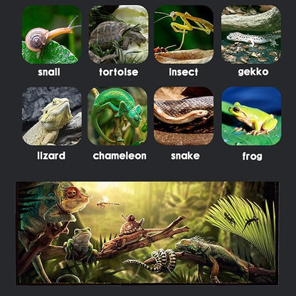Reptile Glass Terrarium Kit (8 Pieces) 12 * 8 * 8 in,Double Door Amphibian Tank Starter Kit, Suitable for Small Reptiles Such as Geckos, Snakes, Lizards, Chameleons,Serpents SARUFO