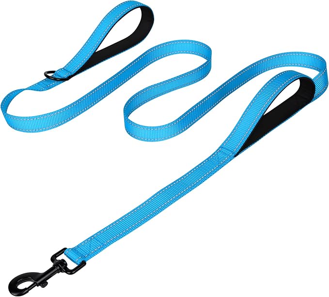 Joytale Dog Leash Heavy Duty for Large Dogs That Pull, Double Handle for Traffic Control, Double-Sided Reflective Leashes for Large Medium Dogs Night Safety, 4FT, Aqua Blue Joytale