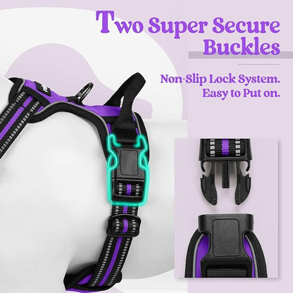 rabbitgoo Dog Harness No Pull with 2 Leash Clips, Adjustable Soft Padded, Reflective Oxford No Choke Pet Vest with Easy Control Handle for Medium Sized Dogs, Purple, M rabbitgoo