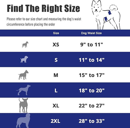 Male Dogs Diapers Belly Bands(3Pack), Washable Reusable Male Boy Doggy Wraps Panties for Doggie Puppy Pooping Potty Training Incontinence Marking Pañal para Perro Black Medium Tie Dye - PAWPICO