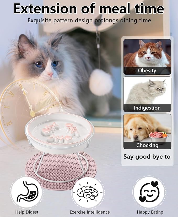 Upgrade Whisker-Fatigue-Free Cat Slow Feeder Bowl, Raised Cat Food Bowl Improved Design, Anti Vomit Promotes Digestion and Prevents Obesity, Slow Down Your Feline Friend Eating Speed - PAWPICO