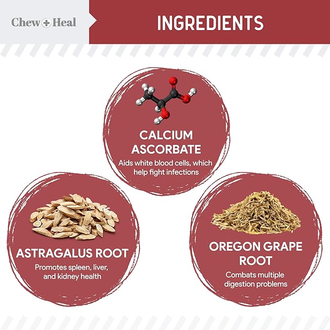 Chew + Heal UTI Treatment Cranberry Chews for Dogs - 240 Soft Chews - Supports Healthy Urinary Tract and Bladder Function - Corrects Imbalances - with Echinacea and Vitamin C ChewHeal