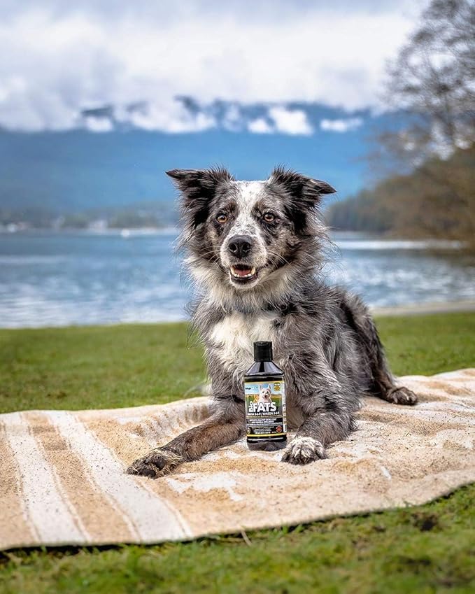 BioFATS Omega 3-6-9 Fatty Acid with EPA & DHA, Supports Healthy Skin, Coat and General Wellness, 94-Day Supply for 30-lb. Animal, 12-fl. oz. Bottle FloraHealth