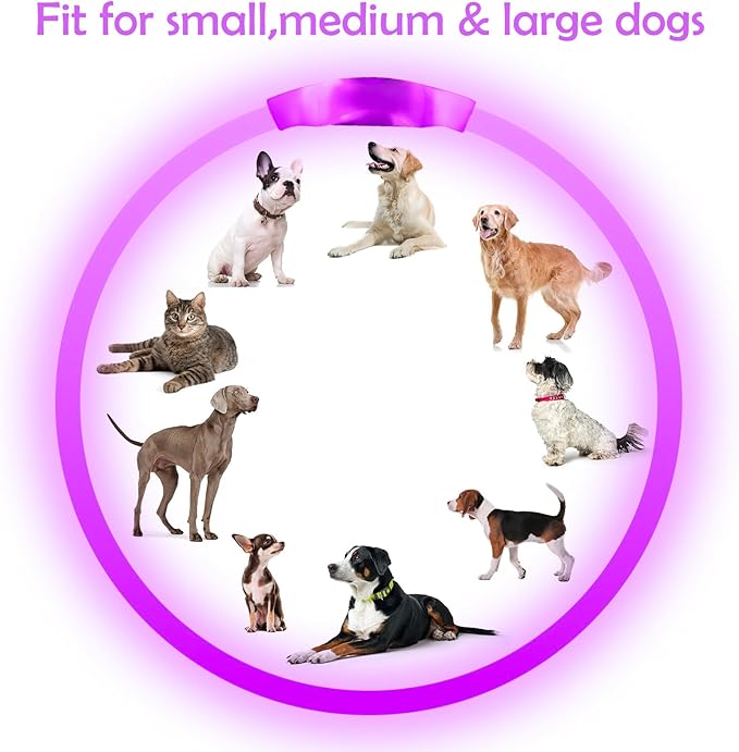 Light up Dog Collar, BSEEN USB Rechargeable Flash Dog Necklace Light, Pet Safety Collar Makes Your Beloved Dogs Be Seen at Night for Small Medium Large Dogs(Purple) BSEEN