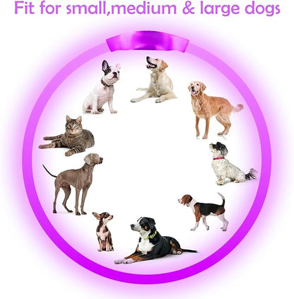 Light up Dog Collar, BSEEN USB Rechargeable Flash Dog Necklace Light, Pet Safety Collar Makes Your Beloved Dogs Be Seen at Night for Small Medium Large Dogs(Purple) BSEEN