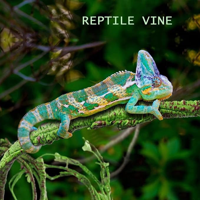 Grddaef Reptile Vines Plants for Terrarium, Flexible Vines Jungle Climbing Branch with Leaves Tank Decor for Snakes Bearded Dragons Geckos Hermit Crabs Lizards Chameleons Grddaef