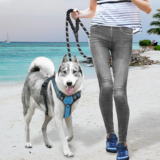 BARKBAY No Pull Dog Harness Large Reflective Dog Harness with Front Clip and Easy Control Handle for Walking Training Running with ID tag Pocket(Blue/Black,L) BARKBAY