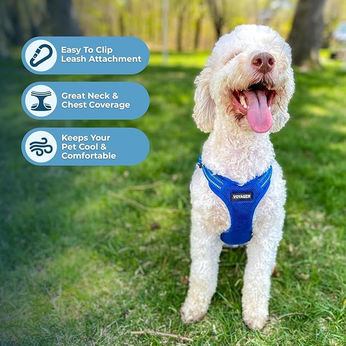 Best Pet Supplies Voyager Adjustable Dog Vest Harness Breathable No Pull Harness for Small, Medium, Large Dogs, Harness for Walking, Jogging, Easy Step-In, Reflective Stripes - (Royal Blue), S BestPetSuppliesLLC