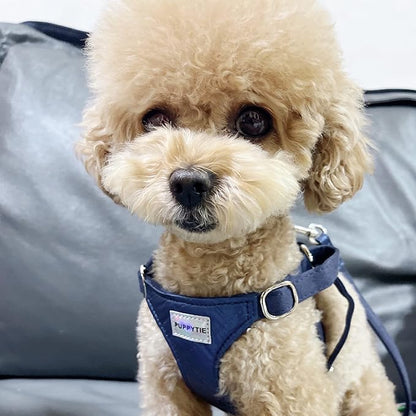 Puppytie No Pull xs Dog Harness with Multifunction Dog Leash,Soft Adjustable No Choke Escape Proof Pet Harness Vest,Glossy Sapphire Blue,XS Puppytie
