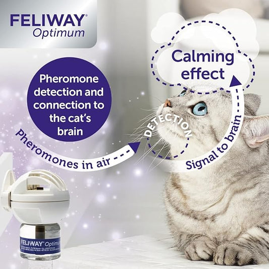 Feliway Optimum Refill 3 Pack Feliway%C2%AE
