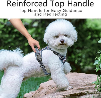Timos Dog Harness, No Pull Dog Harness 3 Snap Buckles Adjustable Reflective No Choke Pet Vest for Small Dog with Soft Padded Control Training Handle for Outdoor Training,Flower Blue, XS Timos