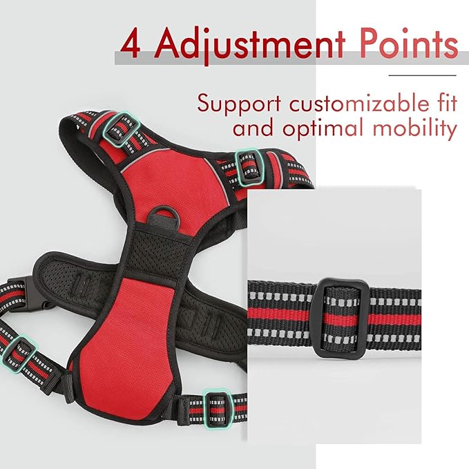 rabbitgoo Dog Harness, No-Pull Pet Harness with 2 Leash Clips, Adjustable Soft Padded Dog Vest, Reflective No-Choke Pet Oxford Vest with Easy Control Handle for Medium Dogs, Red, M - PAWPICO