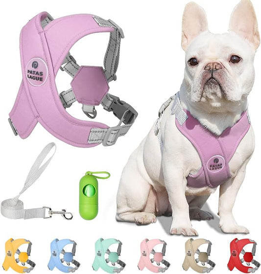 Patas Lague Dog Harness with Leash Set Adjustable Soft Padded Step-in Dog Vest No Choke No Pull Reflective for Small Pets with Poop Bags and Dispenser, Solid and No-chew, Purple XS PatasLague