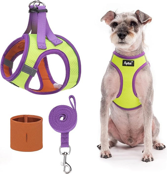 PUPTECK Adjustable Dog Harness Collar and Leash Set Step in No Pull Pet Harness for Small Medium Dogs Puppy and Cats Outdoor Walking Running, Soft Mesh Padded Reflective Vest Harnesses, GreenYellow S PUPTECK