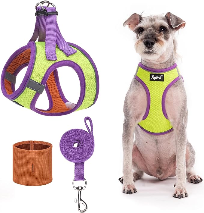PUPTECK Adjustable Dog Harness Collar and Leash Set Step in No Pull Pet Harness for Small Medium Dogs Puppy and Cats Outdoor Walking Running, Soft Mesh Padded Reflective Vest Harnesses, GreenYellow XS PUPTECK