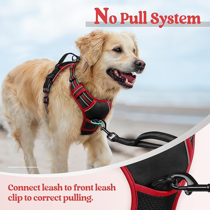 rabbitgoo Dog Harness No Pull with 2 Leash Clips, Adjustable Soft Padded, Reflective Oxford No Choke Pet Vest with Easy Control Handle for Medium Sized Dogs, Black & Red, M rabbitgoo