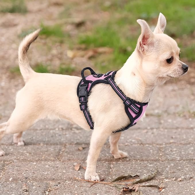 rabbitgoo Dog Harness No Pull with 2 Leash Clips, Adjustable Soft Padded, Reflective Oxford No Choke Pet Vest with Easy Control Handle for Puppy, Pink, XS rabbitgoo
