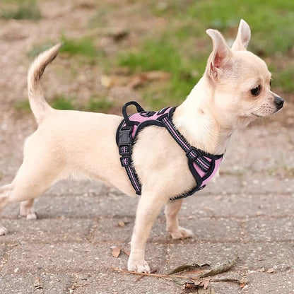rabbitgoo Dog Harness No Pull with 2 Leash Clips, Adjustable Soft Padded, Reflective Oxford No Choke Pet Vest with Easy Control Handle for Puppy, Pink, XS rabbitgoo