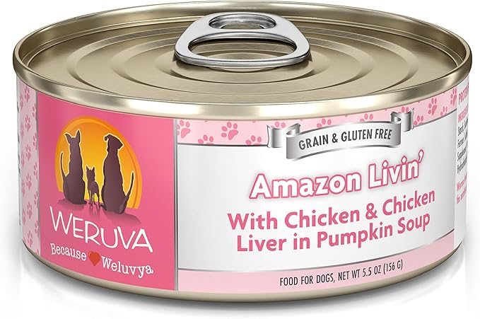 Weruva Classic Dog Food, Amazon Livin' with Chicken Breast & Chicken Liver in Pumpkin Soup, 5.5oz Can (Pack of 24) - PAWPICO