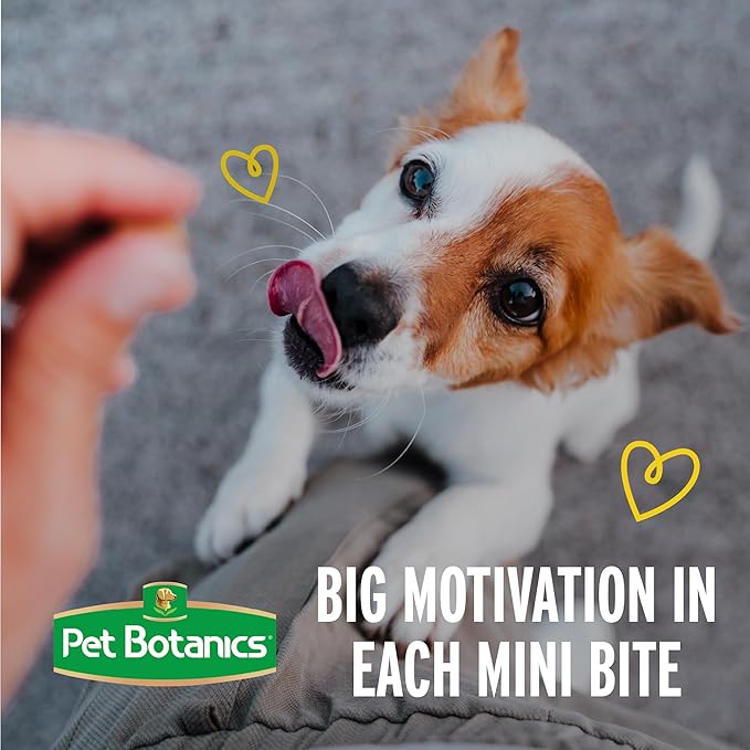 Pet Botanics 4 oz. Pouch Training Rewards Mini Soft & Chewy, Beef Flavor, with 200 Treats Per Bag, The Choice of Top Trainers - PAWPICO