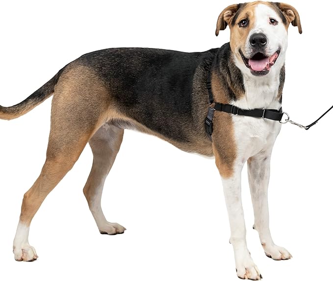 PetSafe Easy Walk No-Pull Dog Harness - The Ultimate Harness to Help Stop Pulling - Take Control & Teach Better Leash Manners - Helps Prevent Pets Pulling on Walks, X-Large, Charcoal/Black PetSafe