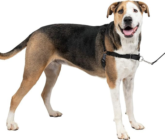 PetSafe Easy Walk No-Pull Dog Harness - The Ultimate Harness to Help Stop Pulling - Take Control & Teach Better Leash Manners - Helps Prevent Pets Pulling on Walks, X-Large, Charcoal/Black PetSafe