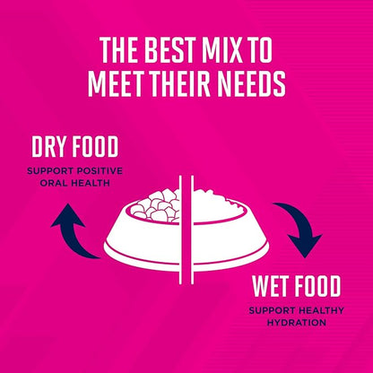 Eukanuba Adult Medium Breed Dry Dog Food, 4.5 lb. bag - PAWPICO