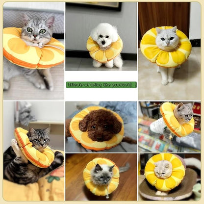 Cat Recovery Soft Collar.Waterproof Soft Recovery Cone Collar. Anti-bite and Anti-Lick Wound Healing Safe Adjustable Elizabethan Collar.(M) PAWPICO