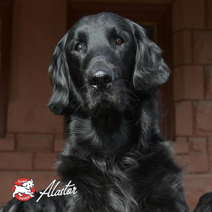 Fromm Four-Star Nutritionals Pork & Peas Dog Food - Premium Dry Dog Food - Pork Recipe - 26 lb - PAWPICO