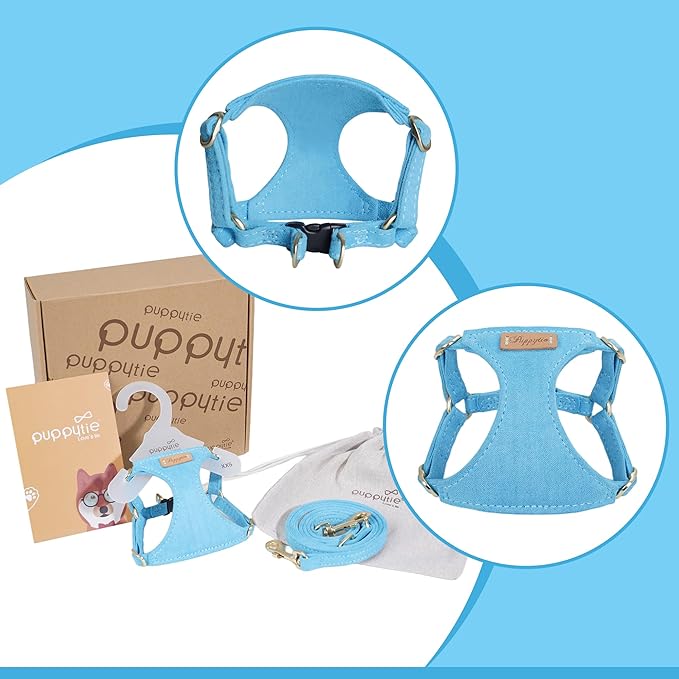 Puppytie No Pull xs Dog Harness with Multifunction Dog Leash,Soft Adjustable No Choke Escape Proof Pet Harness Vest,Ocean Blue,XS Puppytie