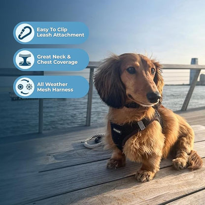 Voyager Step-in Air Dog Harness - All Weather Mesh, Reflective, No Pull Harness for Small, Medium Dogs, Cats - Secure with Hook & Loop Fastener, Buckle, Double D-Rings - Black, XS BestPetSuppliesLLC