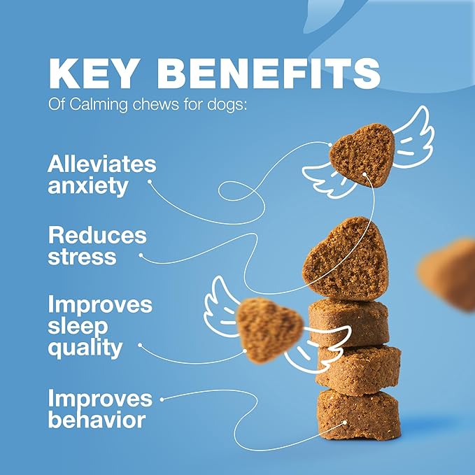 Hemp Calming Chews for Dogs - Dog Calming Treats - Anxiety Relief for Dogs with L-Theanine, Chamomile Extract, Valerian Root - Dog Anxiety Relief for Travel, Vet Visits, Thunderstorms, Nail Trimming CHEWIA