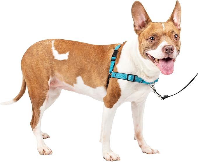PetSafe Easy Walk Deluxe Dog Harness, No Pull Dog Harness – Perfect for Leash & Harness Training – Stops Pets from Pulling and Choking on Walks – Medium, Ocean PetSafe