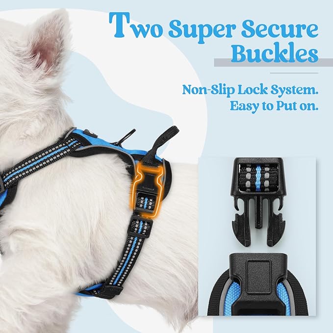 rabbitgoo Dog Harness No Pull with 2 Leash Clips, Adjustable Soft Padded, Reflective Oxford No Choke Pet Vest with Easy Control Handle for Puppy, Blue, XS rabbitgoo