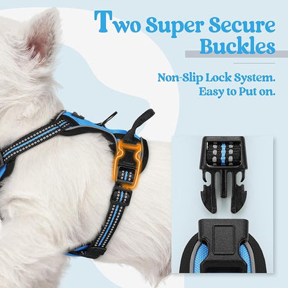 rabbitgoo Dog Harness No Pull with 2 Leash Clips, Adjustable Soft Padded, Reflective Oxford No Choke Pet Vest with Easy Control Handle for Puppy, Blue, XS rabbitgoo