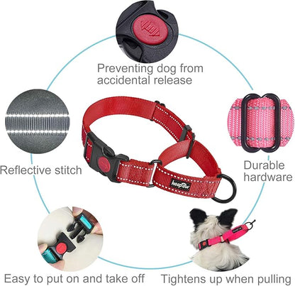 haapaw 2 Packs Martingale Dog Collar with Quick Release Buckle Reflective Dog Training Collars for Small Medium Large Dogs haapaw
