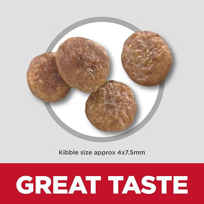 Hill's Science Diet Adult 7+ Small & Mini Chicken Meal & Brown Rice Recipe Dry Dog Food 15.5 lbs. - PAWPICO