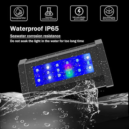 Lominie Small LED Aquarium Light Full Spectrum, 2-Channel Dimmable Fish Tank Light with Adjustable Gooseneck for Saltwater, Coral Nano Tank (Saltwater) Lominie