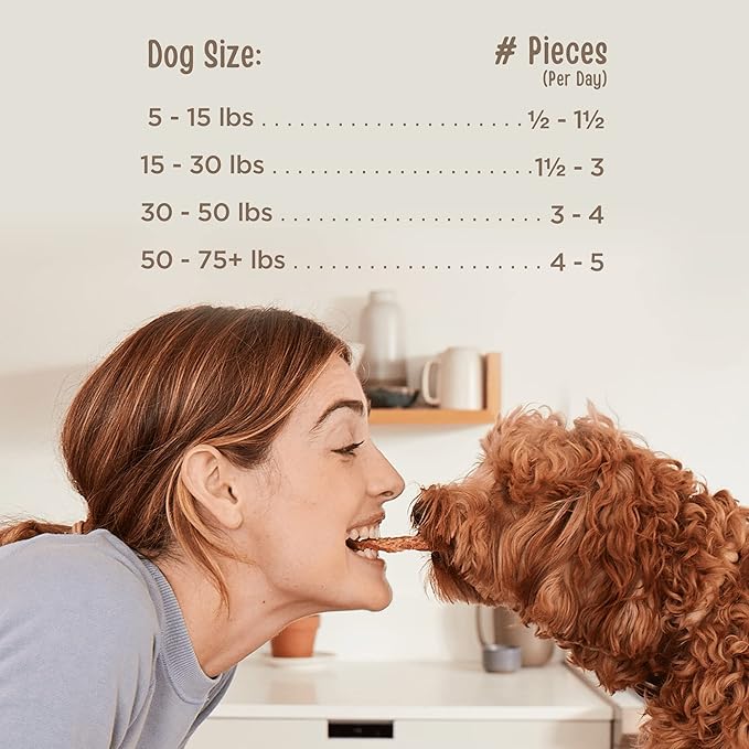 Full Moon All Natural Human Grade Dog Treats, Essential Beef Savory Sticks, 14 Ounce (Pack of 2) - PAWPICO