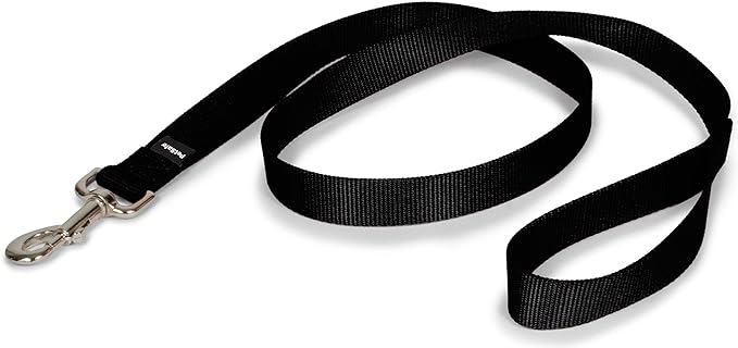 PetSafe Nylon Dog Leash – Strong, Durable, Traditional Style Leash with Easy to Use Bolt Snap – 1" x 4', Black PetSafe