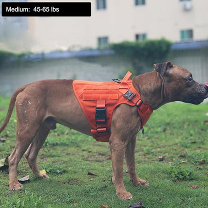 ICEFANG Tactical Dog Harness,Medium Size, 2X Metal Buckle,Working Dog MOLLE Vest with Handle,No Pulling Front Leash Clip,Hook and Loop Panel ICEFANGDIRECT