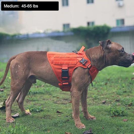 ICEFANG Tactical Dog Harness,Medium Size, 2X Metal Buckle,Working Dog MOLLE Vest with Handle,No Pulling Front Leash Clip,Hook and Loop Panel ICEFANGDIRECT