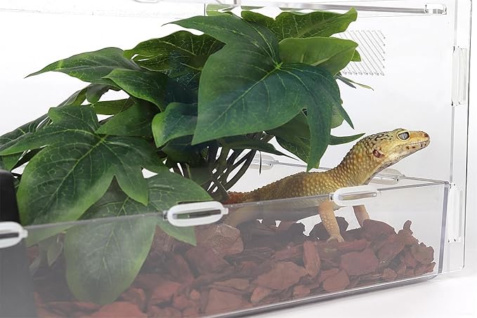 Reptile Plants for Terrarium, Ball Python Tank Decor Accessories fit Bearded Dragon Crested Leopard Gecko Lizard Chameleon Snake Frog Tortoise Hermit Crab - Fake Sweet Potato Vine WOLEDOE