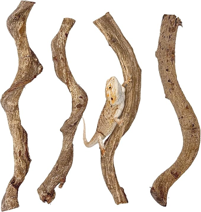 Reptile Climbing Branch Decor Wood Snake Terrarium Branches Lizard Habitat Decorations Wooden Tree Trunk Ornament for Bearded Dragon Geckos Chameleon Frog Pack of 4 (14-16 inch) Apatal