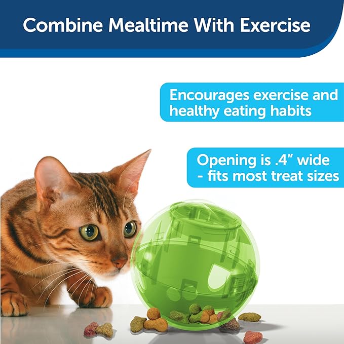 PetSafe Slimcat Feeder Ball - Interactive Game for Your Cat - Fill with Food and Treats - Green - PAWPICO