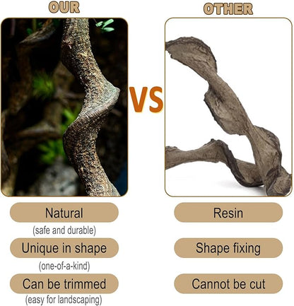 BNOSDM Reptile Forest Climbing Branch Decor Crested Gecko Climb Wood Natural Branches Tree for Snake Frog Chameleon Spider Bearded Dragon Terrarium Habitat Tank Accessories,3PCS BNOSDM