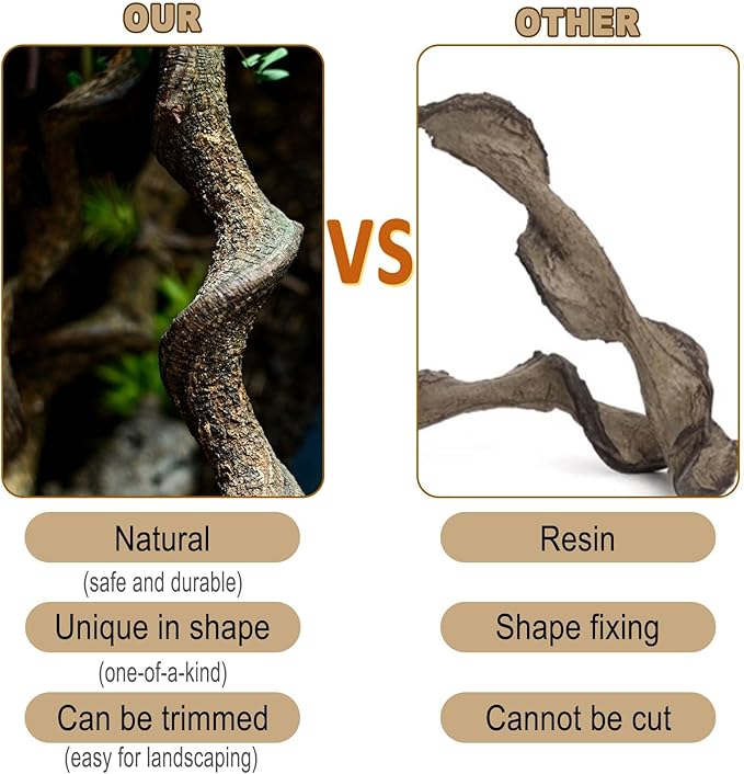 Reptile Decor Natural Forest Branch Terrarium Habitat Decoration Lizard Climbing Tree Branch for Bearded Dragon Gecko Snake Frog Chameleon Spider 8PCS BNOSDM