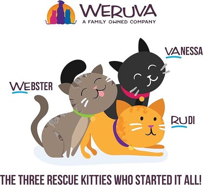 Weruva Wet Cat Food, Love Connection with Chicken and Salmon Pate, 2.8oz Slide N Serve Pouch, Pack of 12 - PAWPICO