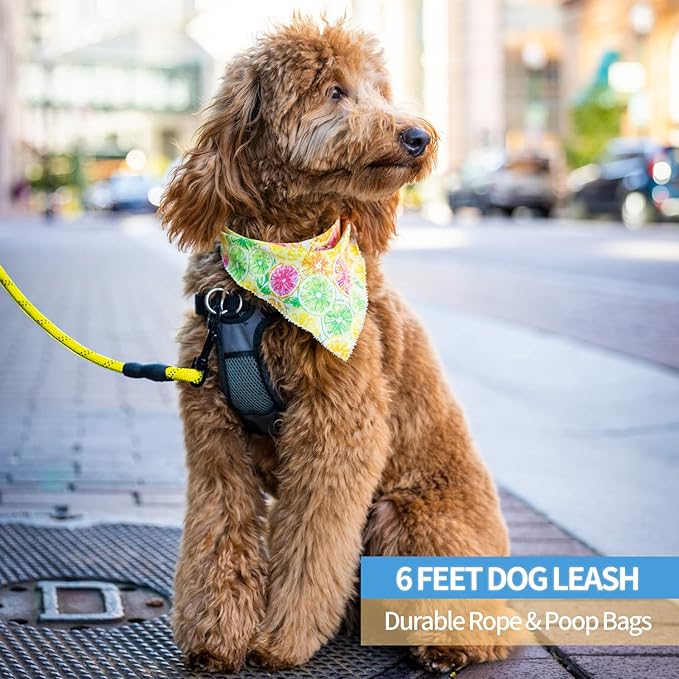 BAAPET 2/4/5/6 FT Dog Leash with Comfortable Padded Handle and Highly Reflective Threads for Small Medium and Large Dogs (6FT-1/2'', Yellow) - PAWPICO